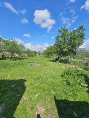 Casa la tara in Rogoz, Bihor, teren 1427 mp, acces auto - Vanzare - imagine 7