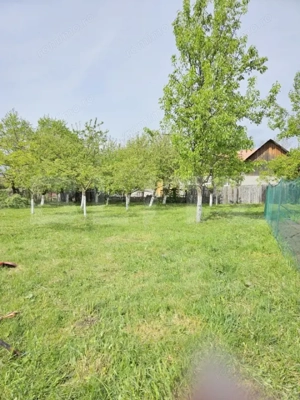 Casa individuala in loc. Livada/Petrestii de Jos  - imagine 3