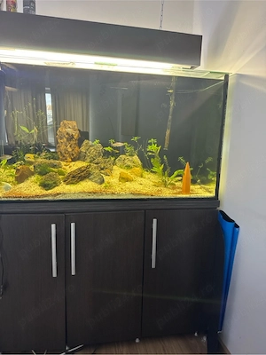 vand acvariu 350litri complet - imagine 3