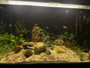 vand acvariu 350litri complet - imagine 2