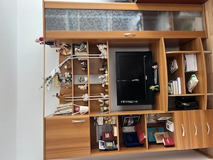 Bibliotecă (de apartament)