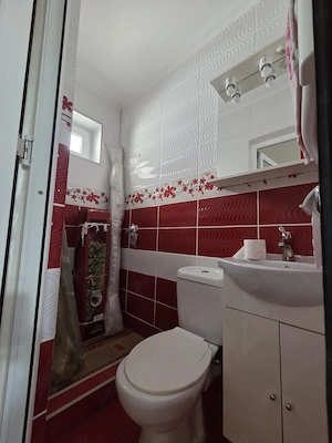 Spatiu comercial de vanzare Micro 17  - imagine 9