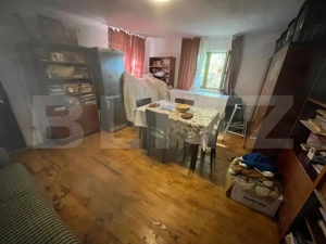 Casă tradițională cu teren 4.500 mp și anexe gospodărești – Sat bolovani - imagine 19
