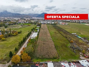 Teren industrial- Timișul Sec oportunitate investițională - imagine 2