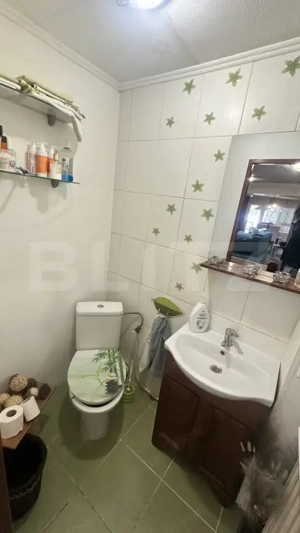 Casă spațioasă, complet mobilată, cu piscină si panouri fotovoltaice in Uroi  - imagine 14