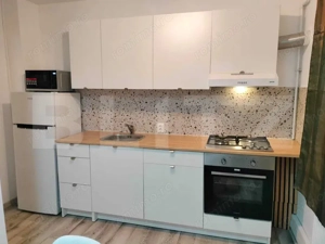 Apartament cochet de închiriat , zona Platinia  - imagine 3