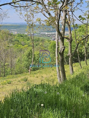 Prahova, orasul Boldesti-Scaeni, satul Seciu, teren 3007mp, d=36m - imagine 6
