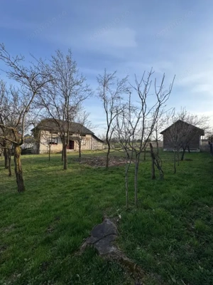 Casă Asuaju de Sus, 47 ari teren, investiție, necesită renovare - imagine 3