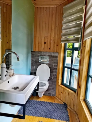 Investiție rară la Colibița – 3 cabane aproape de lac, ideale pentru turism! - imagine 12