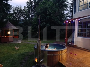 Investiție rară la Colibița – 3 cabane aproape de lac, ideale pentru turism! - imagine 18