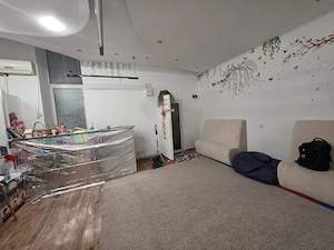 Apartament 1 camera parter, Piata Unirii - imagine 3