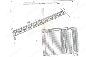 Teren intravilan de vânzare Cernica – Tânganu | 4 loturi x 954 mp | Investiție - imagine 4