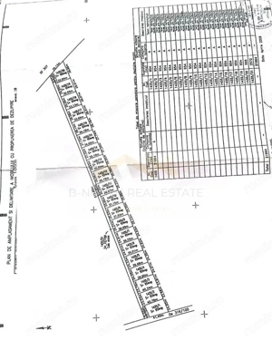 Teren intravilan de vânzare Cernica – Tânganu | 4 loturi x 954 mp | Investiție - imagine 5