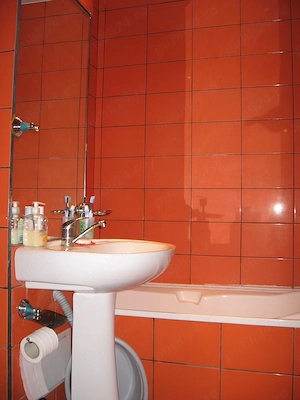 Apartament cu o camera de inchiriat - imagine 5