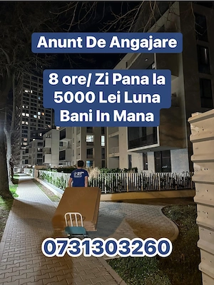 Anunț angajare Ajutor Mutări Mutări de 10 5000 Lei  luna