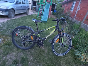 Bicicleta Pegasus