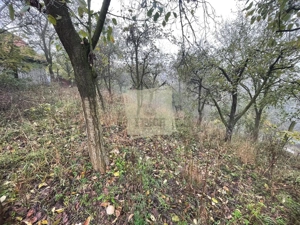 Casa individuala cu 6 camere si 3 bai si 1413 mp teren in Blaj - imagine 12