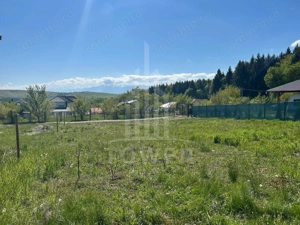 TEREN 600 MP | VEDERE PANORAMICĂ | LA MARGINEA PĂDURII | Tocile, SIBIU - imagine 3