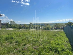 TEREN 600 MP | VEDERE PANORAMICĂ | LA MARGINEA PĂDURII | Tocile, SIBIU - imagine 4