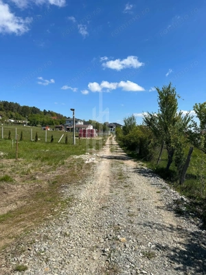 TEREN 600 MP | VEDERE PANORAMICĂ | LA MARGINEA PĂDURII | Tocile, SIBIU - imagine 6