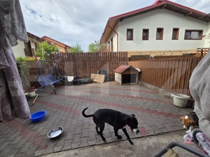 Apartament 3 camere, 2 bai, gradina, decomandat, parcare, Zona Eroilor - imagine 4