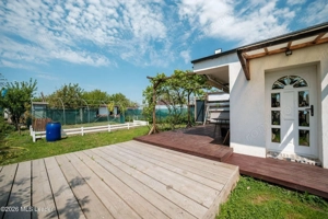 Inchiriere casa mica, cu suflet, la curte, Branesti-Islaz - imagine 13