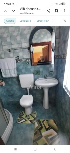 Proprietar vând sau inchiriez vilă deosebită in zona munților Apuseni  - imagine 10