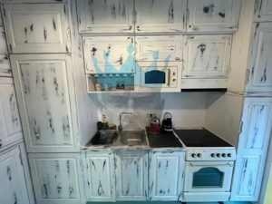 Apartament Duplex 3 Camere Cismigiu - imagine 15