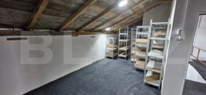 Casă P+M - Amprentă 146 mp, Teren 5.423 mp, zona Sud-Vest  - imagine 8