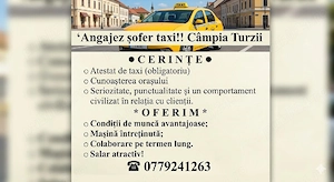 angajez sofer taxii doar cu atestat! 