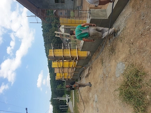 Angajam muncitori in Construții, Dulgheri - imagine 5