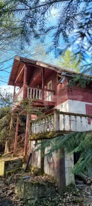 Duplex de vanzare in Colibita