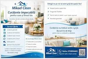 Curățenie la domiciliu 