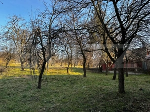Casa cu 4 camere,baie, bucatarie,anexe.pivniță teren 2500 mp - imagine 9