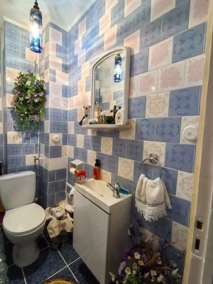 Apartament cu 3camere,2bai,2balcoane,GARAJ propriu Dorobantilor-S.Barnutiu - imagine 9