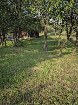 Casa din lemn cu 3200 mp teren intravilan în Vișeu de Sus - imagine 3