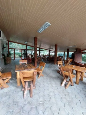 Complex balnear - Calacea - Timis - 15 HA - imagine 8