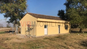 Ferma complet utilată – 30 ha teren comasat cu 11.500mp grajduri renovate Timiș – Comuna Biled - imagine 15