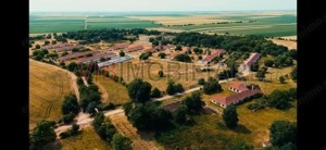 Ferma complet utilată – 30 ha teren comasat cu 11.500mp grajduri renovate Timiș – Comuna Biled - imagine 5