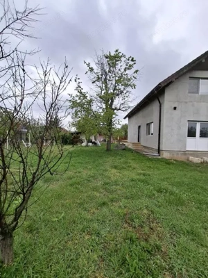 Comision 0 - Casa de vanzare in Carani, Jud. Timis, utilitati complete - imagine 2