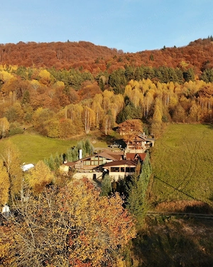 casa de vanzare cu teren de 1000 mp - imagine 3