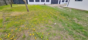Casa P+1 cu 830 mp teren si anexa, situate in mun.Piatra Neamt - imagine 3