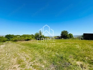Teren intravilan pretabil pentru constructii, 1020 mp - zona Vii 