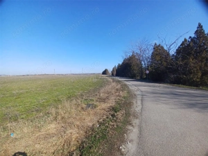 Teren Judetul Calarasi- Cuza Voda Stradal DN3 - imagine 3