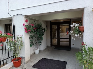 Apartament 1 camera - imagine 4