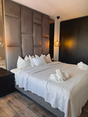 Apartament cu 2 camere - Zona Aradului - imagine 3