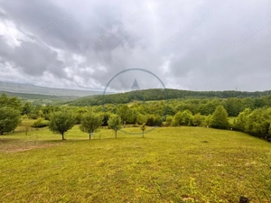Teren extravilan cu potențial turistic – 5 ha în Josenii Bârgăului - imagine 8