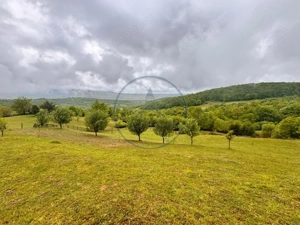 Teren extravilan cu potențial turistic – 5 ha în Josenii Bârgăului - imagine 3