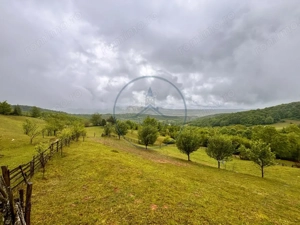 Teren extravilan cu potențial turistic – 5 ha în Josenii Bârgăului - imagine 2