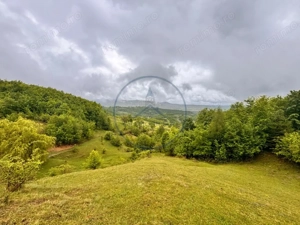 Teren extravilan cu potențial turistic – 5 ha în Josenii Bârgăului - imagine 5